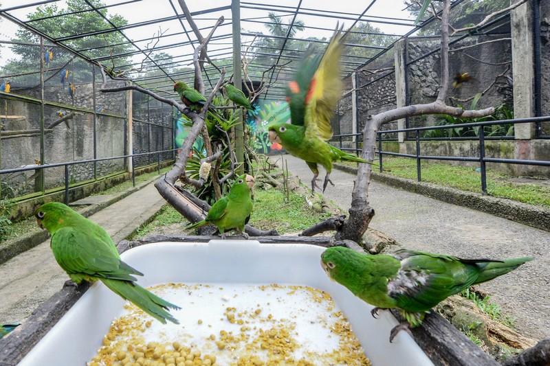  Zoológico do Parque Estoril em São Bernardo é opção de passeio para as famílias
