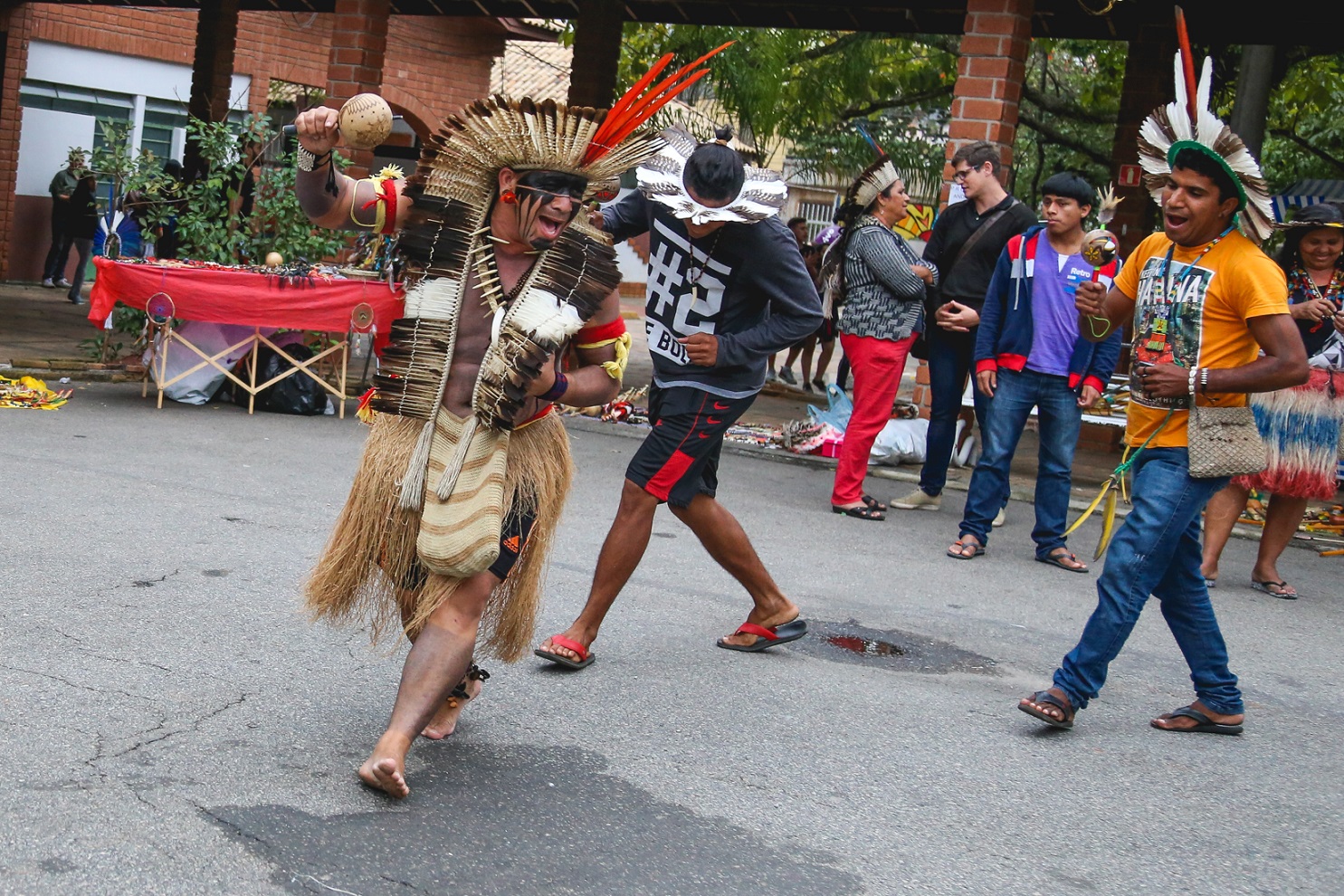 feira de cultura indígena em são caetano