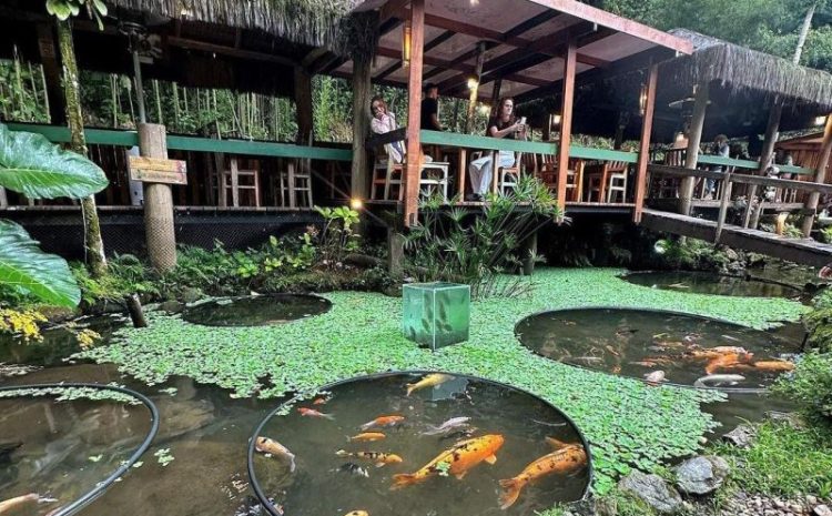  Restaurante que faz você se sentir na Indonésia conta com piscina natural e lago de carpas