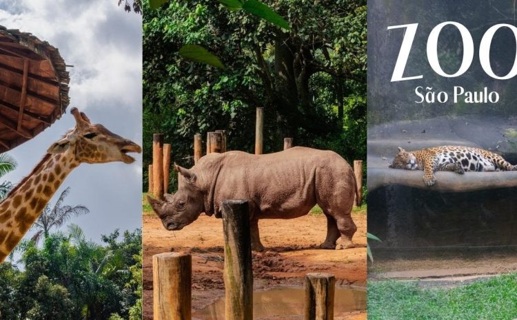  Zoológico de São Paulo abre venda de ingressos com desconto especial em abril