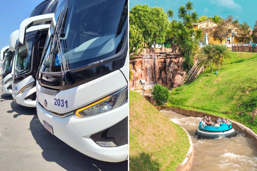Ônibus leva famílias de SP para o Hopi Arraiá 2025 com shows e comidas ...